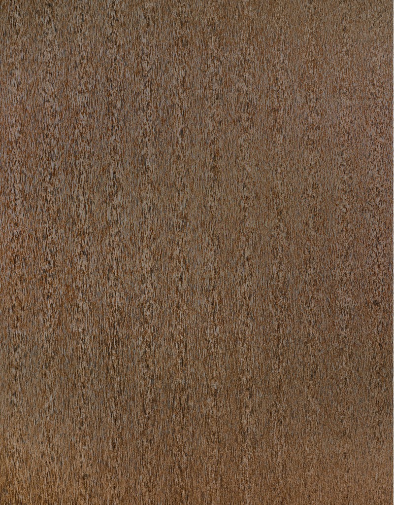 Панель хавтан X38 (122x280x0.8см) Металь зэсэн