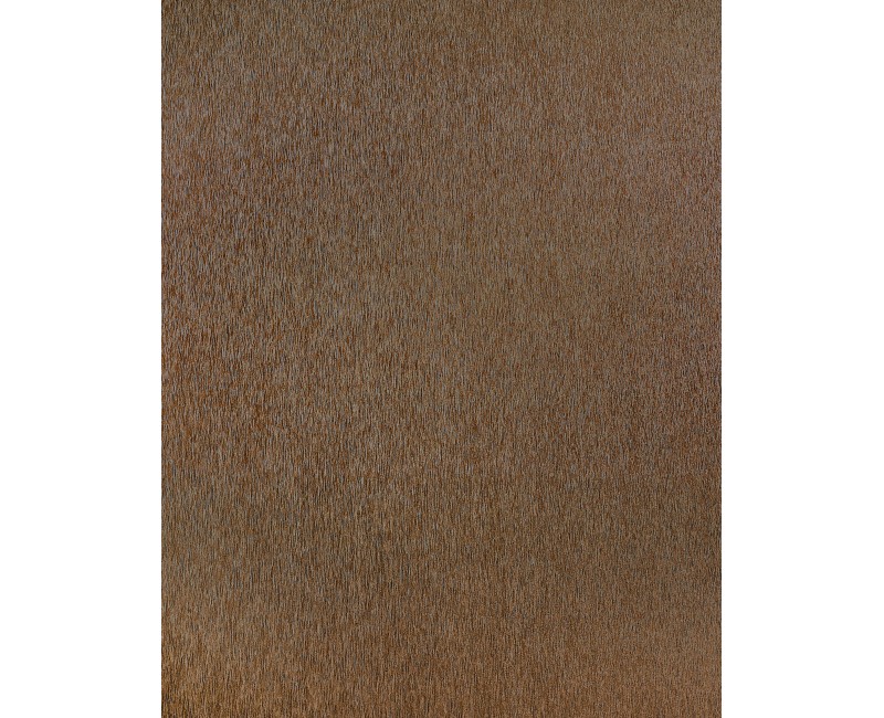 Панель хавтан X38 (122x280x0.8см) Металь зэсэн