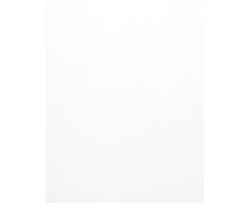 Панель хавтан П1-1 (122x280x0.8см) Гөлгөр сүүн цагаан