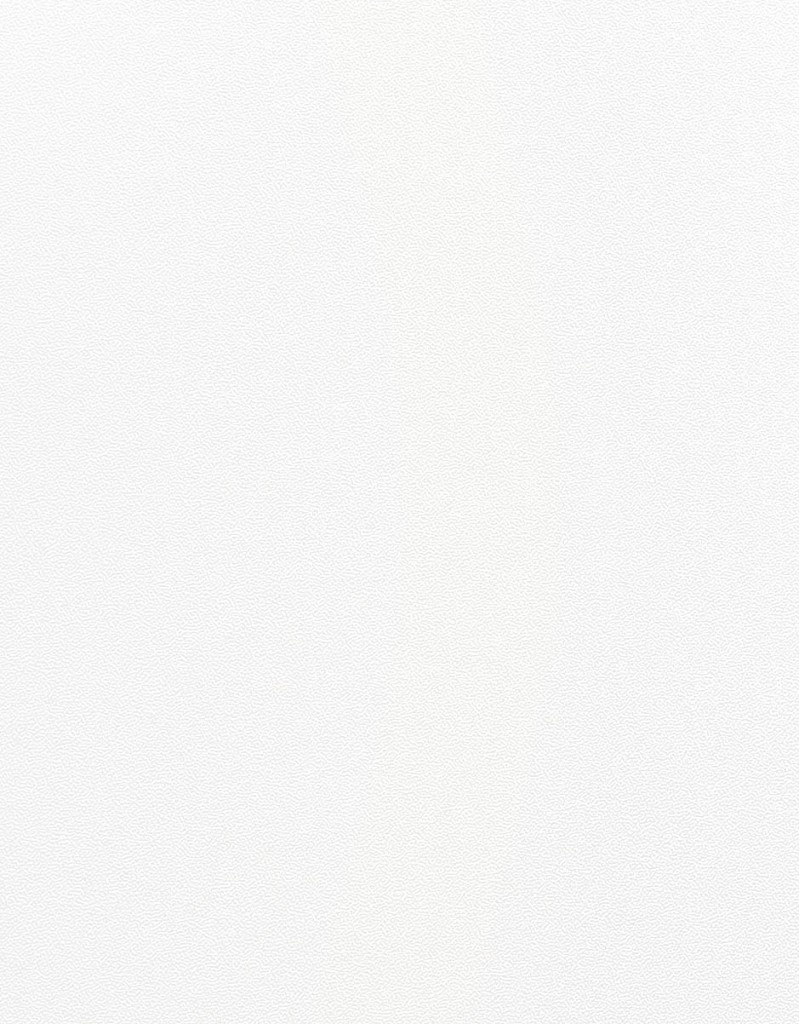 Панель хавтан П114 (122x280x0.8см) Матт цагаан