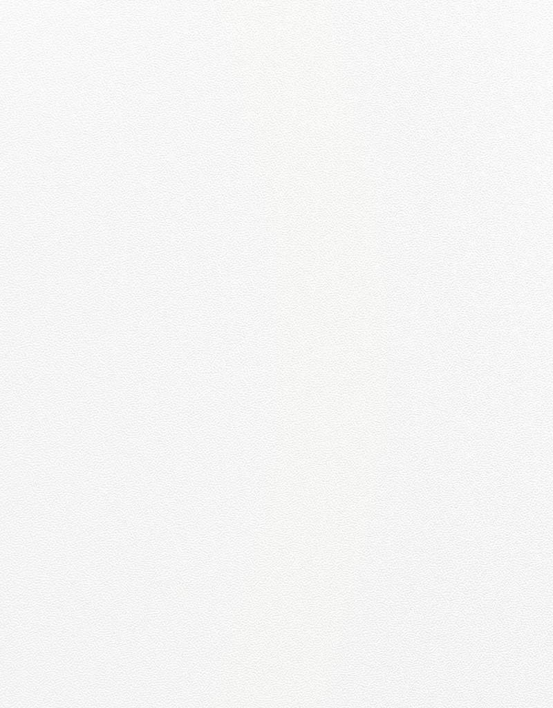 Панель хавтан П114 (122x280x0.8см) Матт цагаан