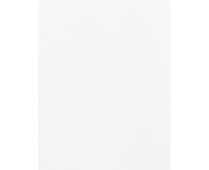 Панель хавтан П114 (122x280x0.8см) Матт цагаан