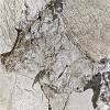 Панель хавтан ЧП01 (122x280x0.8см) Чулуун бор судалтай 