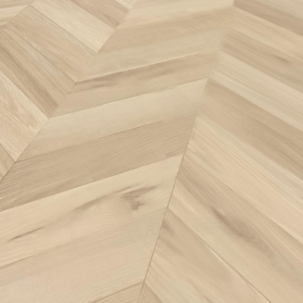 ЗАГАСАН НУРУУ ШАЛ