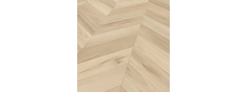 ЗАГАСАН НУРУУ ШАЛ