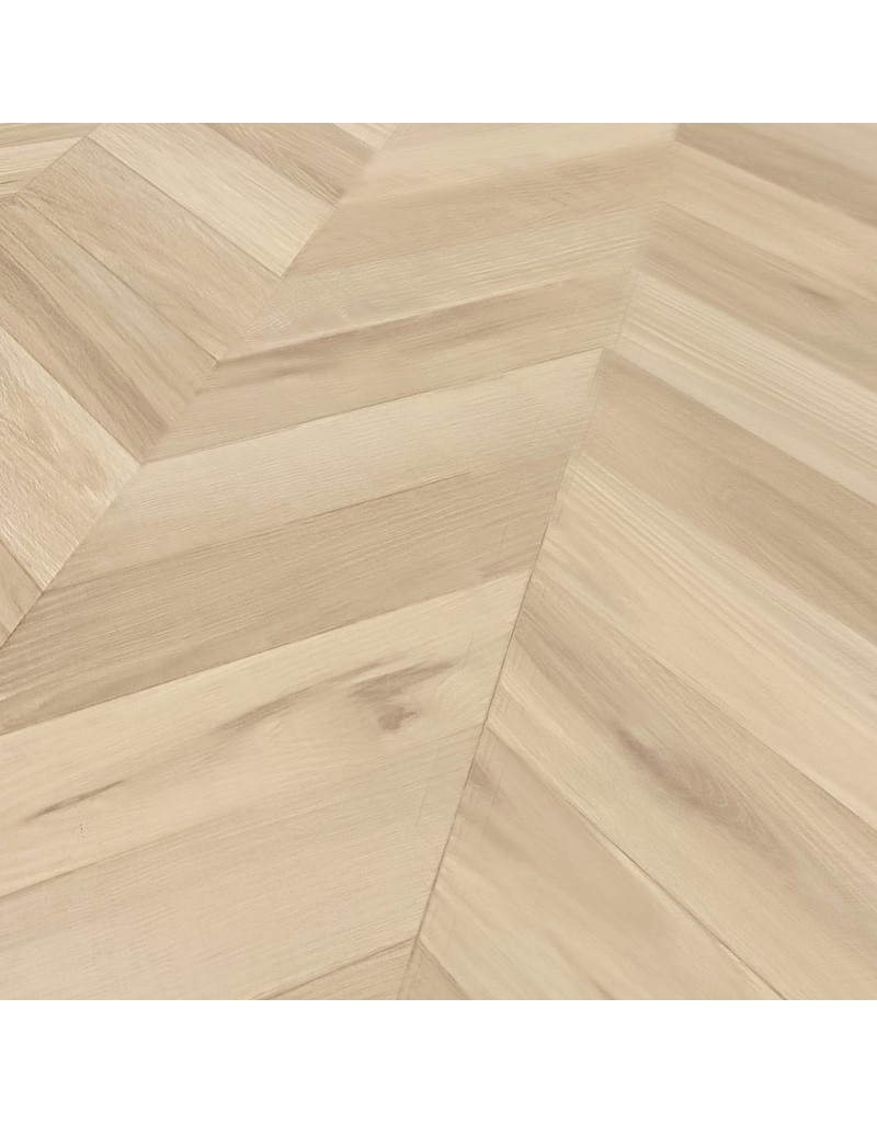 ЗАГАСАН НУРУУ ШАЛ 03