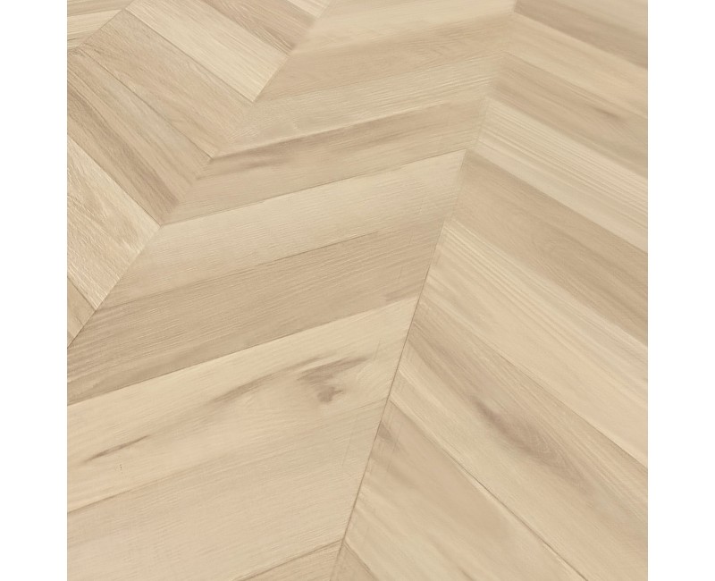 ЗАГАСАН НУРУУ ШАЛ 03